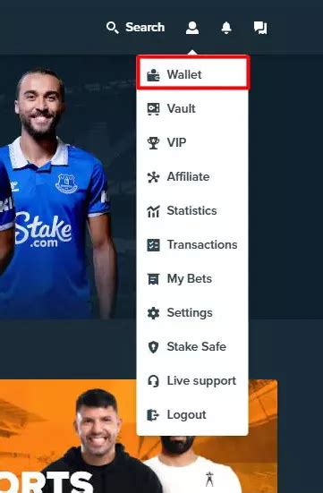 stake.com minimum deposit|Stake.com Deposits: How to Make a Deposit on Stake.